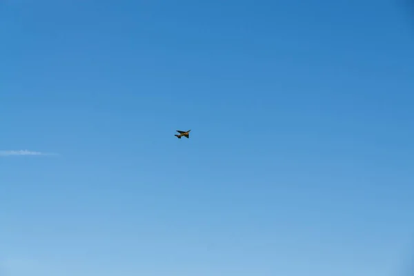 Летящий Голубом Небе Воздушный Змей — стоковое фото