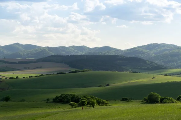 Schönes Grünes Gras Der Slowakei — Stockfoto