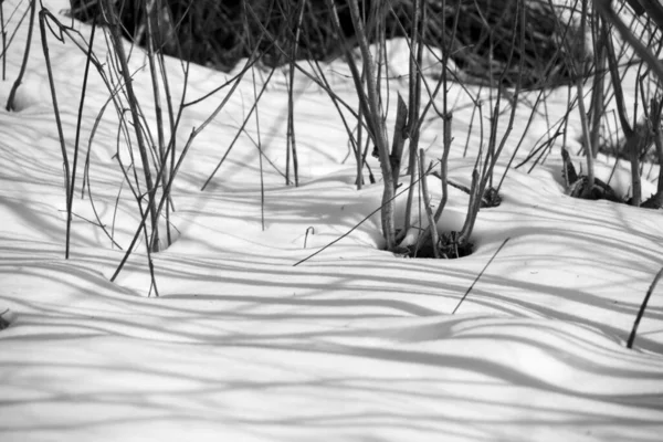 Natureza Coberta Neve Durante Inverno Eslováquia — Fotografia de Stock