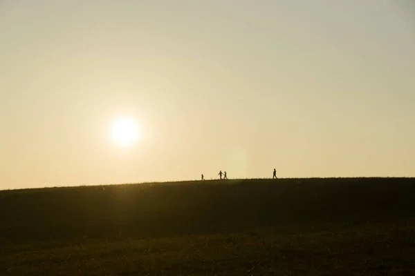 Persone Che Camminano Prato Durante Tramonto — Foto Stock