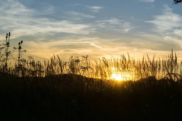 Coucher Soleil Sur Ciel Avec Des Nuages Sur Fond — Photo