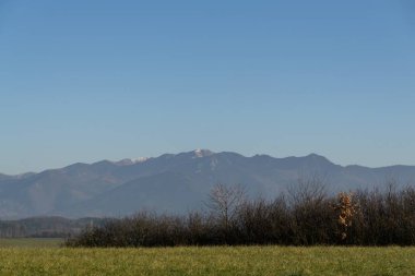 Ormandaki ağaçlar ve patikalar. Slovakya