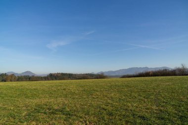 Ormandaki ağaçlar ve patikalar. Slovakya
