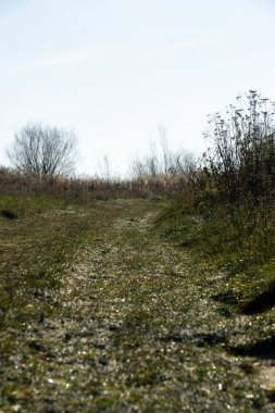 Yeşil çimenli ve mavi gökyüzü olan dağ manzarası