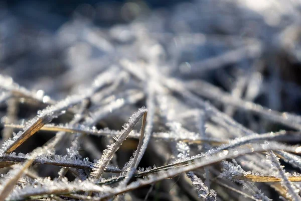 Winterachtergrond Met Sneeuw Close — Stockfoto