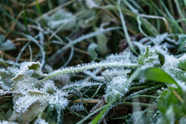 Berglandschap Met Groen Gras Blauwe Lucht — Stockfoto