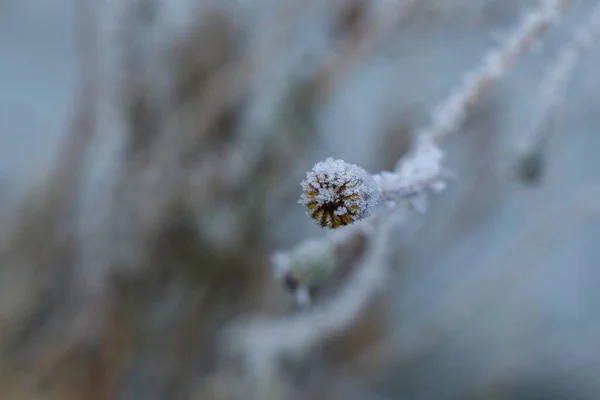 Berglandschap Met Groen Gras Blauwe Lucht — Stockfoto