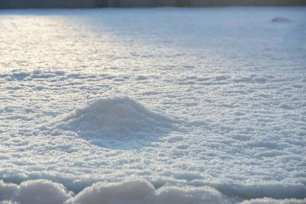 Montón Nieve Cerca Durante Invierno Países Bajos —  Fotos de Stock