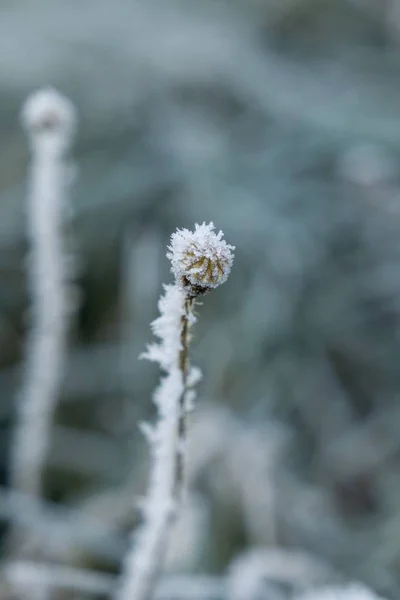 Horská Krajina Zelenou Trávou Modrou Oblohou — Stock fotografie