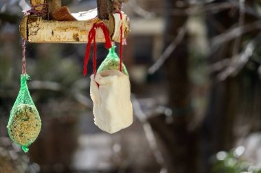 Kışın ahşap kuş evi