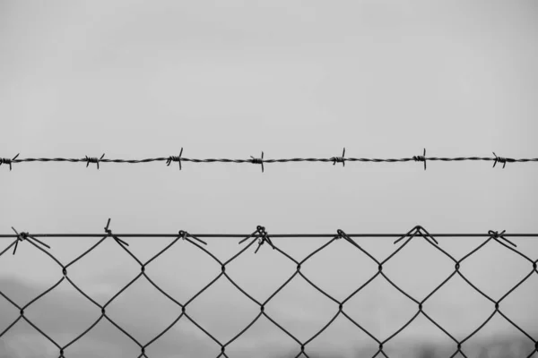 Barbed Wire Fence Slovakia — Stock Photo, Image