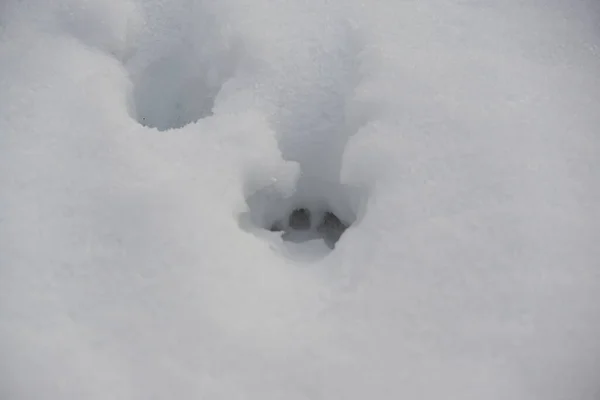 Heap Snow Close Winter Slovakia — Stock Photo, Image