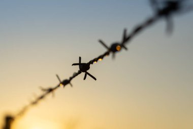 Çitteki dikenli teller. Yakın çekim.