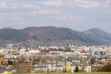 Dağ ve ormanlı yaz manzarası