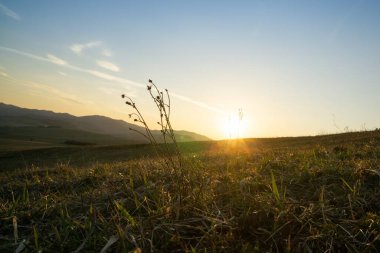 Aşağısı bulutlu, aşağısı bulutlu dağların manzarası. Slovakya