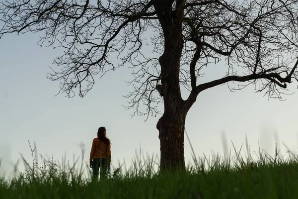 Vista Donna Sola Sotto Grande Albero Sera — Foto Stock