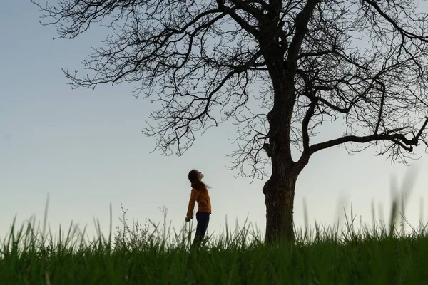 Вид Одинокой Женщины Большим Деревом Вечером — стоковое фото