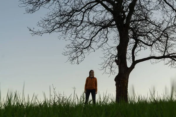 Vista Mujer Sola Bajo Gran Árbol Por Noche —  Fotos de Stock