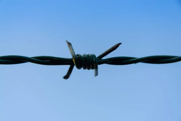 Barbed Wire Fence Close Shot — Stock Photo, Image