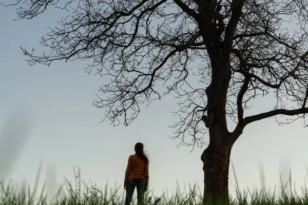 Vista Mujer Sola Bajo Gran Árbol Por Noche —  Fotos de Stock