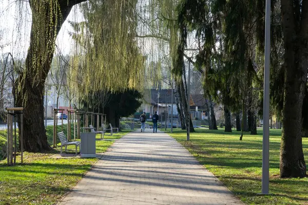 Árvores Outono Floresta Eslováquia — Fotografia de Stock