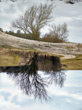Orman yolunda çamur birikintisi  