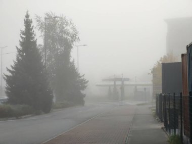 Sis ve ağaçlarla kaplı kış manzarası