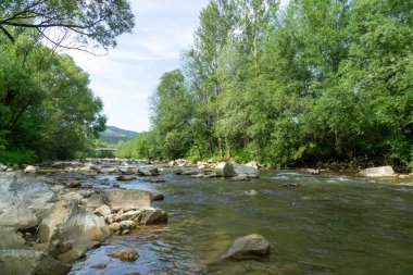 Bahar doğasında göl. Slovakya