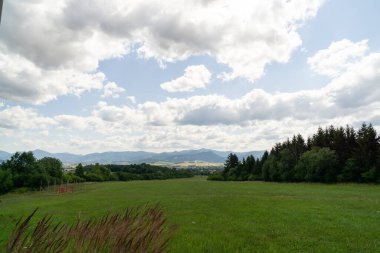 Yeşil dağ çayırı manzarası