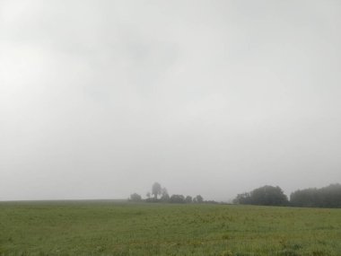 Ağaçlı ve manzaralı çayırda güzel bir sabah. Slovakya