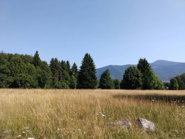 Karpat dağlarının gündüz görüntüsü