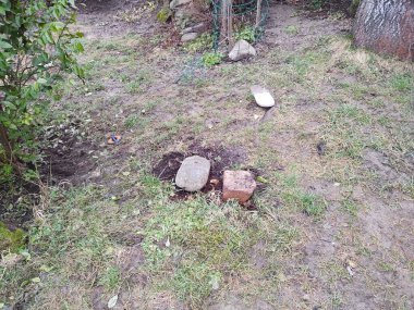 Arka planda eski taşlar ve çimenler, kapatın.