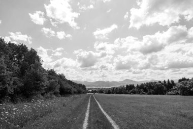 Dağlarda, doğa arka planında yol