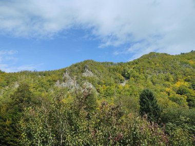 Karpat dağlarının gündüz görüntüsü