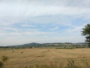 Sonbaharda çayırda saman balyaları. Slovakya