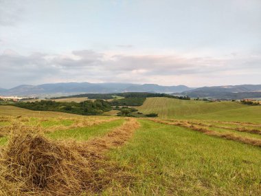 Ağaçları ve dağları olan bir çayır. Slovakya