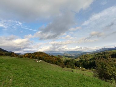 Ağaçları ve dağları olan bir çayır. Slovakya