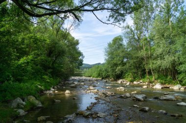 Bahar doğasında göl. Slovakya