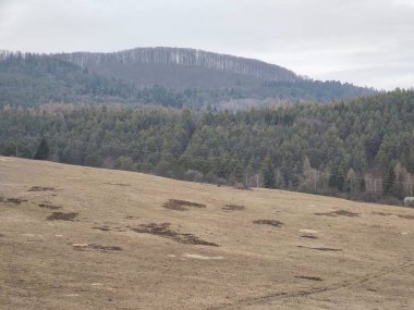 Ağaçlar ve manzaralı çayırda puslu bir sabah. Slovakya