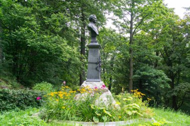 Yaz arka planında güzel bir bahçe