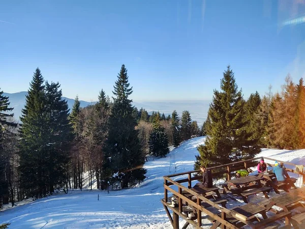 Bomen Sneeuw Tijdens Diepe Winter Slowakije — Stockfoto