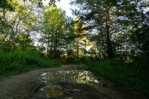 Puddles on road during rain. Slovakia