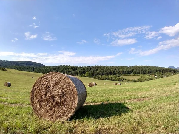 Szénabálák Réten Ősszel Szlovákia — Stock Fotó