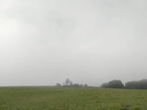 Красивое Утро Meadow Деревьями Видом Словакия — стоковое фото
