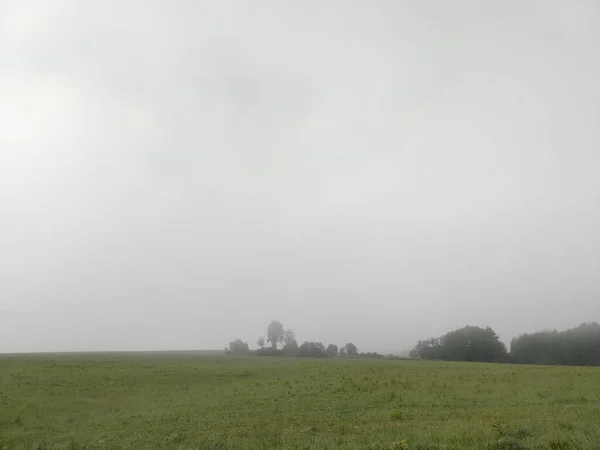 Schöner Morgen Auf Einer Wiese Mit Bäumen Und Aussicht Slowakei — Stockfoto