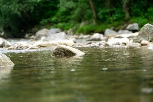 Meer Lente Natuur Slowakije — Stockfoto