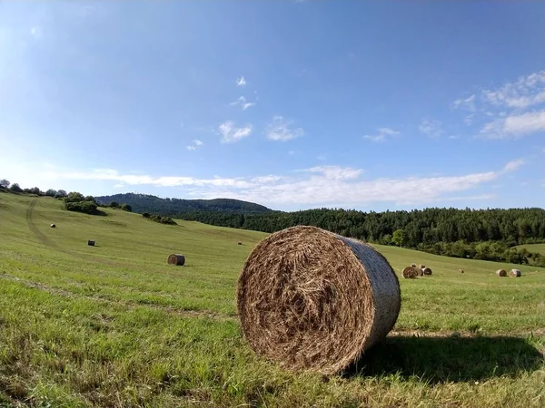 Szénabálák Réten Ősszel Szlovákia — Stock Fotó