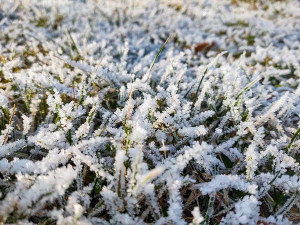 Kilátás Hegyekre Télen — Stock Fotó