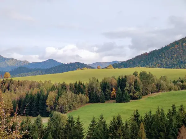 Ağaçları Dağları Olan Bir Çayır Slovakya — Stok fotoğraf
