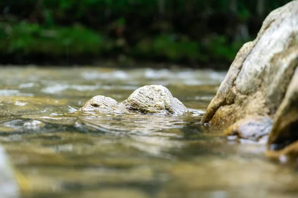 Lago Nella Natura Primaverile Slovacchia — Foto Stock